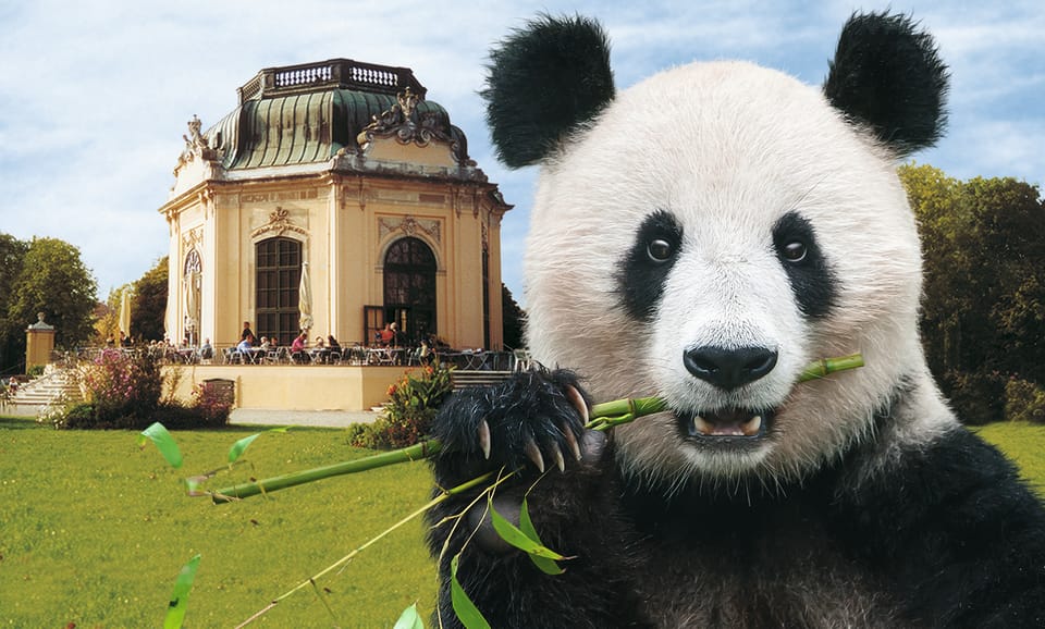 Schönbrunn Zoo